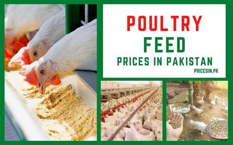 poultry feed price 50kg|Feed Pricing .